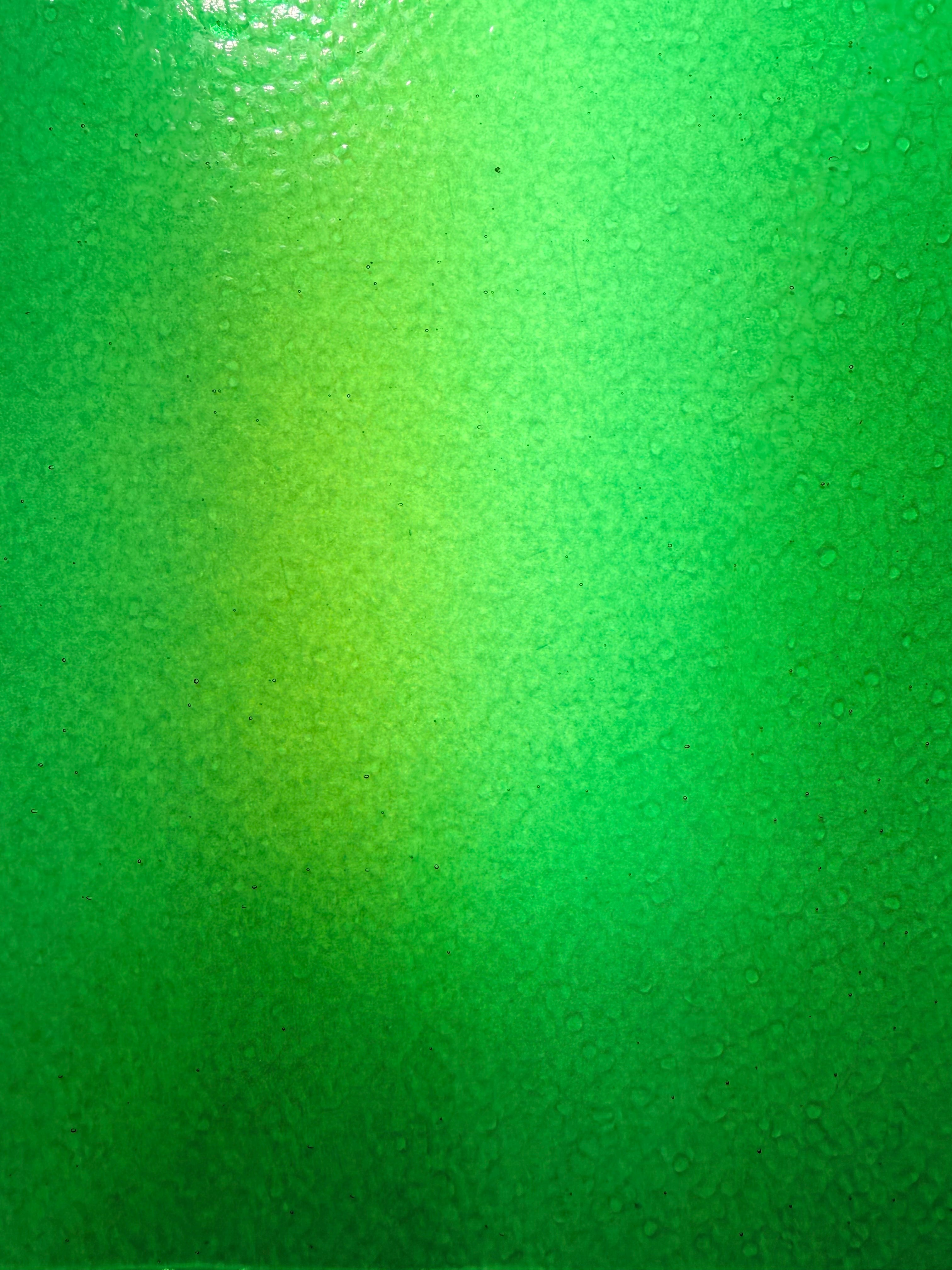 WI Med Green Corella Classic -CC286 - Available Now