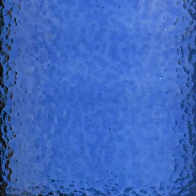 WI Midnight Corella Classic - PrePurchase only