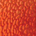 WI Light Copper Red English Muffle EMX16 - (Formerly 4921)