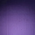 WI Medium Violet 96 COE - W96311VF