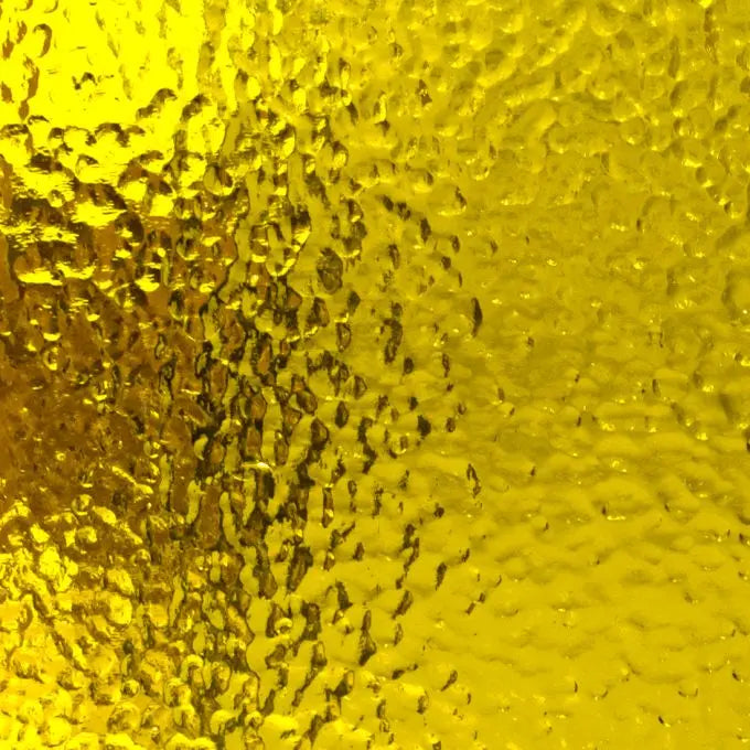 WI Yellow Corella Classic - 31C - Available Now