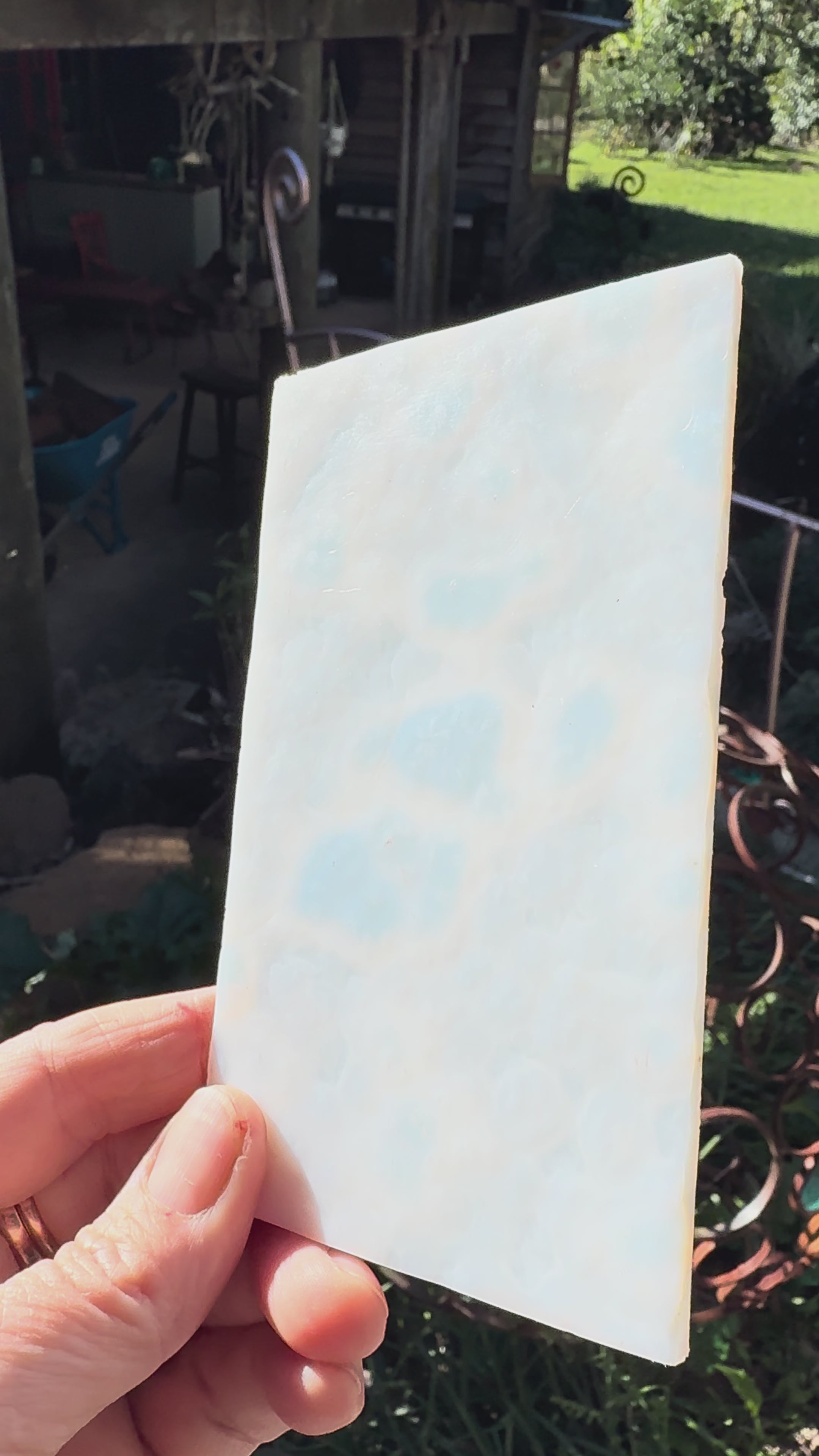 Bullseye White Mottle - 6013 - ETA EARLY JULY