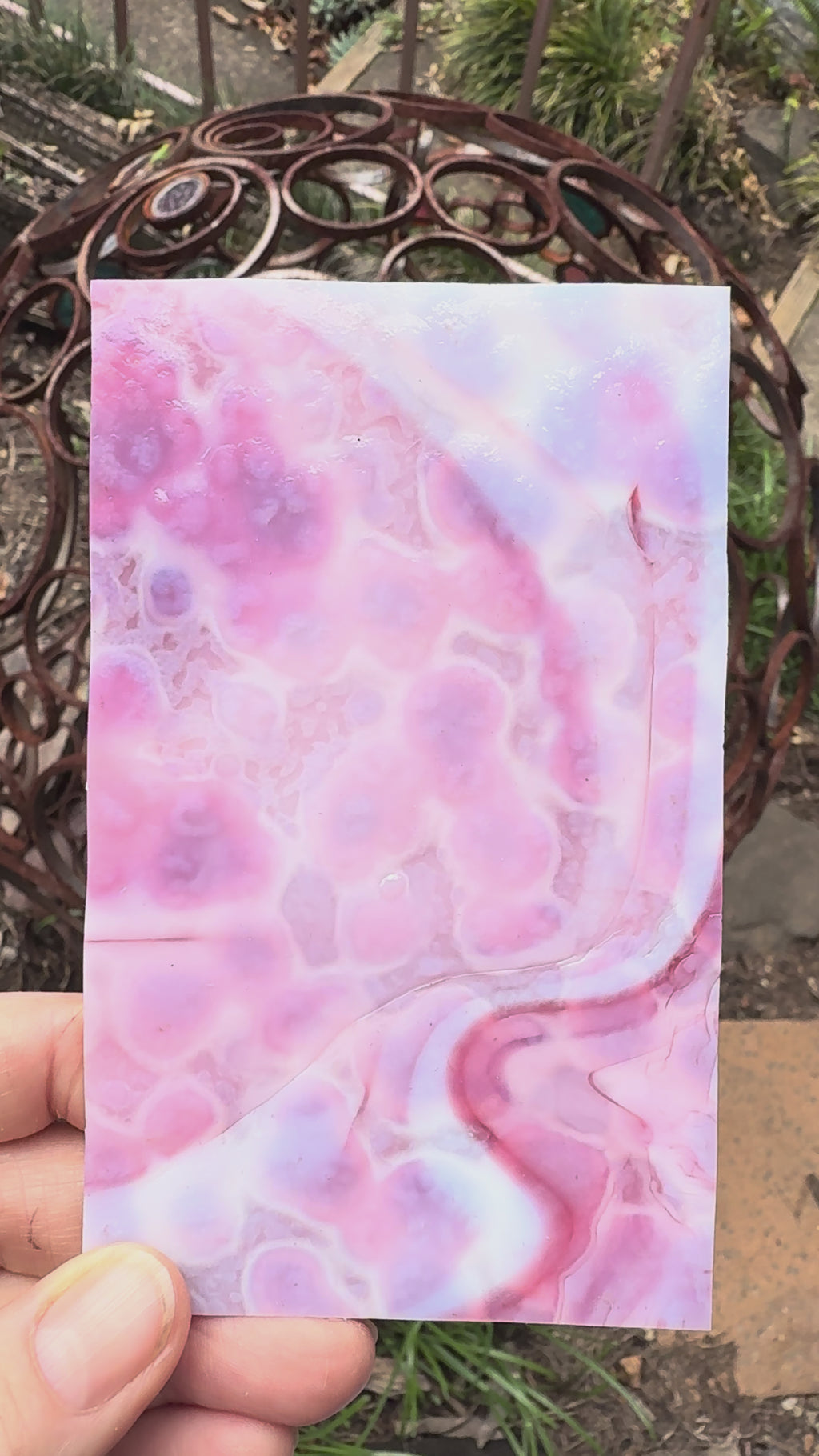 Bullseye White, Gold Pink Mottle- 6210- Pre Purchase only