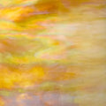 Dark Sand Irid - WWO58RID