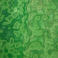 Youghiogheny Dark Green Opal Mottled - Y4444HS_C - ETA OCTOBER